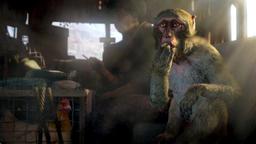 Sony PS4 Far Cry 4 Video Game reconditionné - Reebelo France