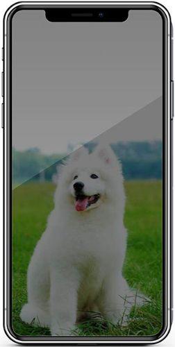 Nuglas (2pcs) Protecteur d'écran en verre trempé plat Privacy pour iPhone 11 Pro Max/ XS Max reconditionné - Reebelo France